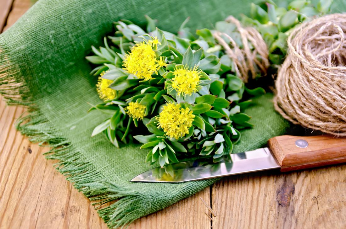 Rhodiola: Benefits, Uses and Risks