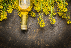 Rapeseed Oil: Benefits, Risks, Uses