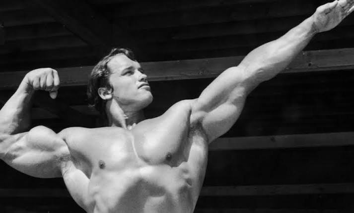 arnold schwarzenegger supplements