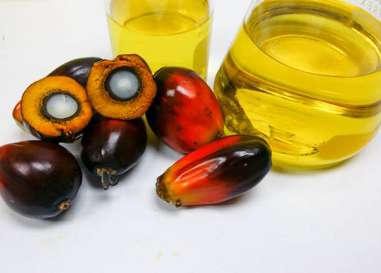 Batana oil is a natural hair product that is derived from the American Oil Palm Tree (Elaeis oleifera)