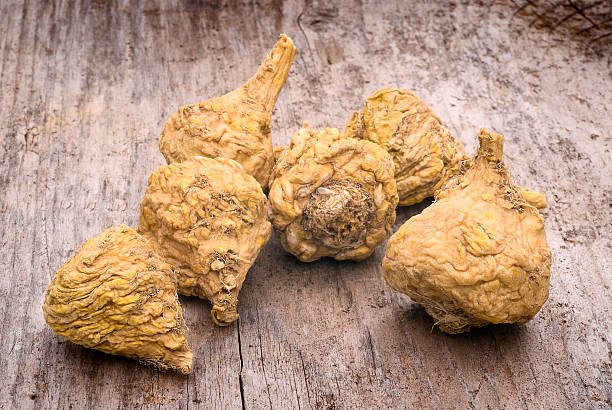 Maca root is a root vegetable used for centuries