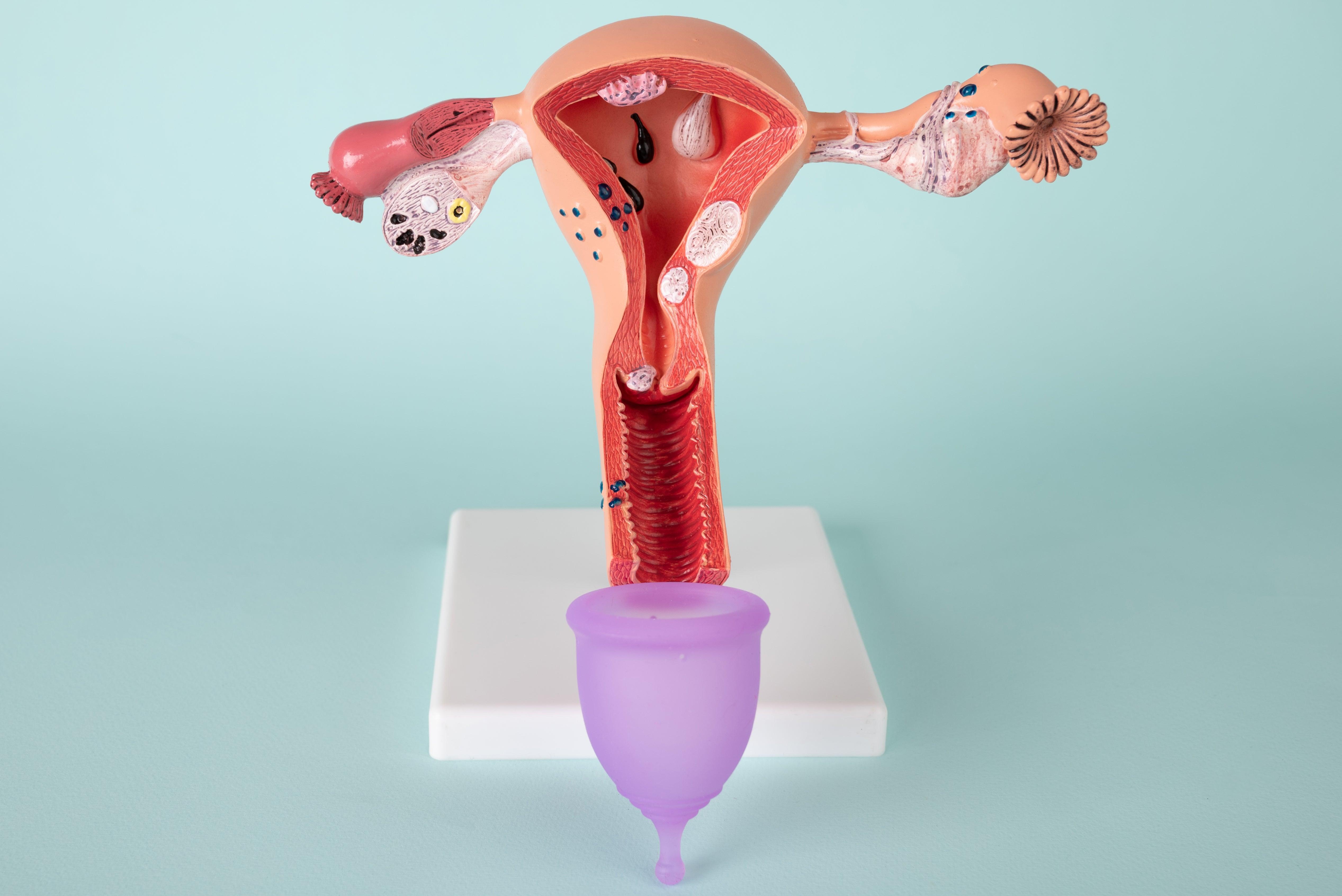 Let's talk about vaginal discharge