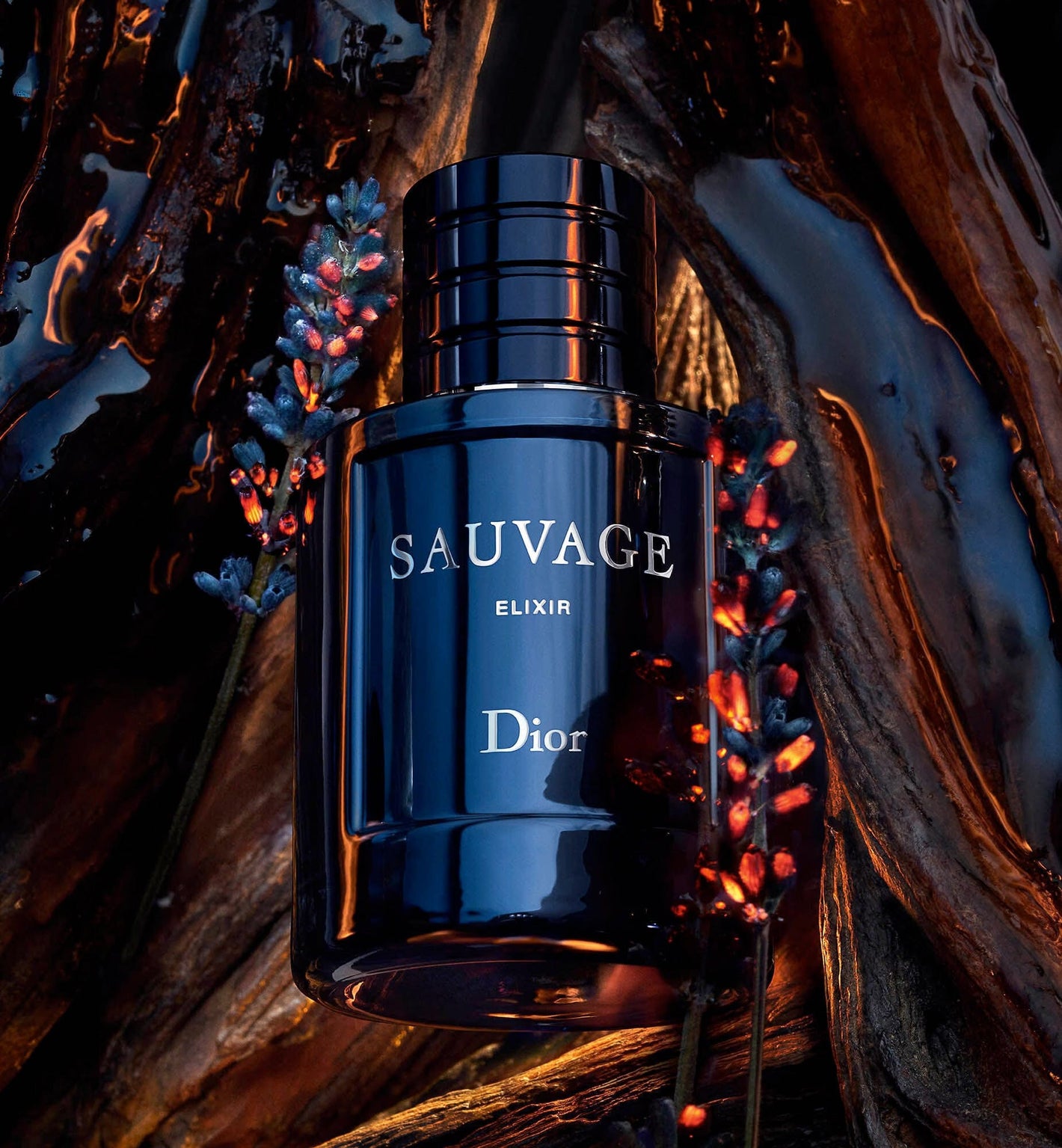 Long Lasting Perfumes Men