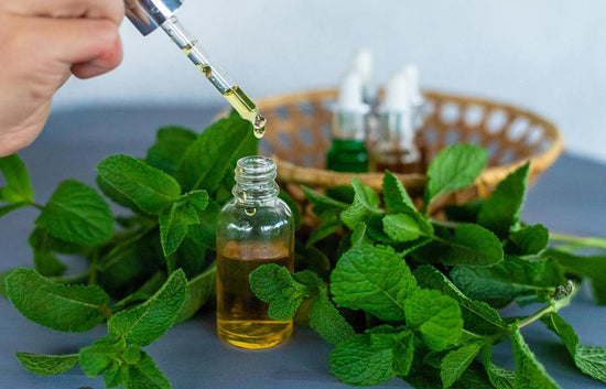 Peppermint Essential Oil: How to Use for Health Benefits - welzo
