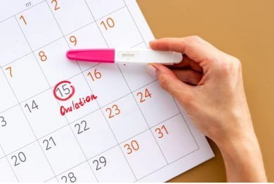 ovulation phase of the menstrual cycle is associated with mood swings