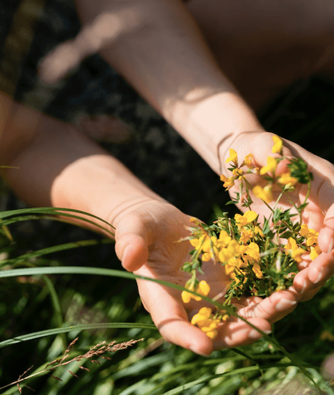 Ragweed Allergy: Types, Causes, Symptoms, Diagnosis, and Treatments - welzo