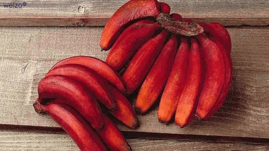 Red Bananas: A Nutritional Guide - welzo