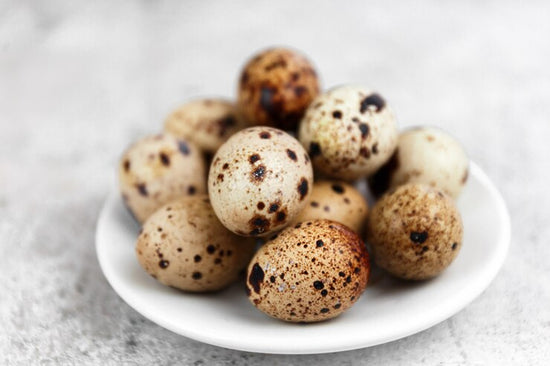 Quail eggs are the edible eggs laid by various species of quails