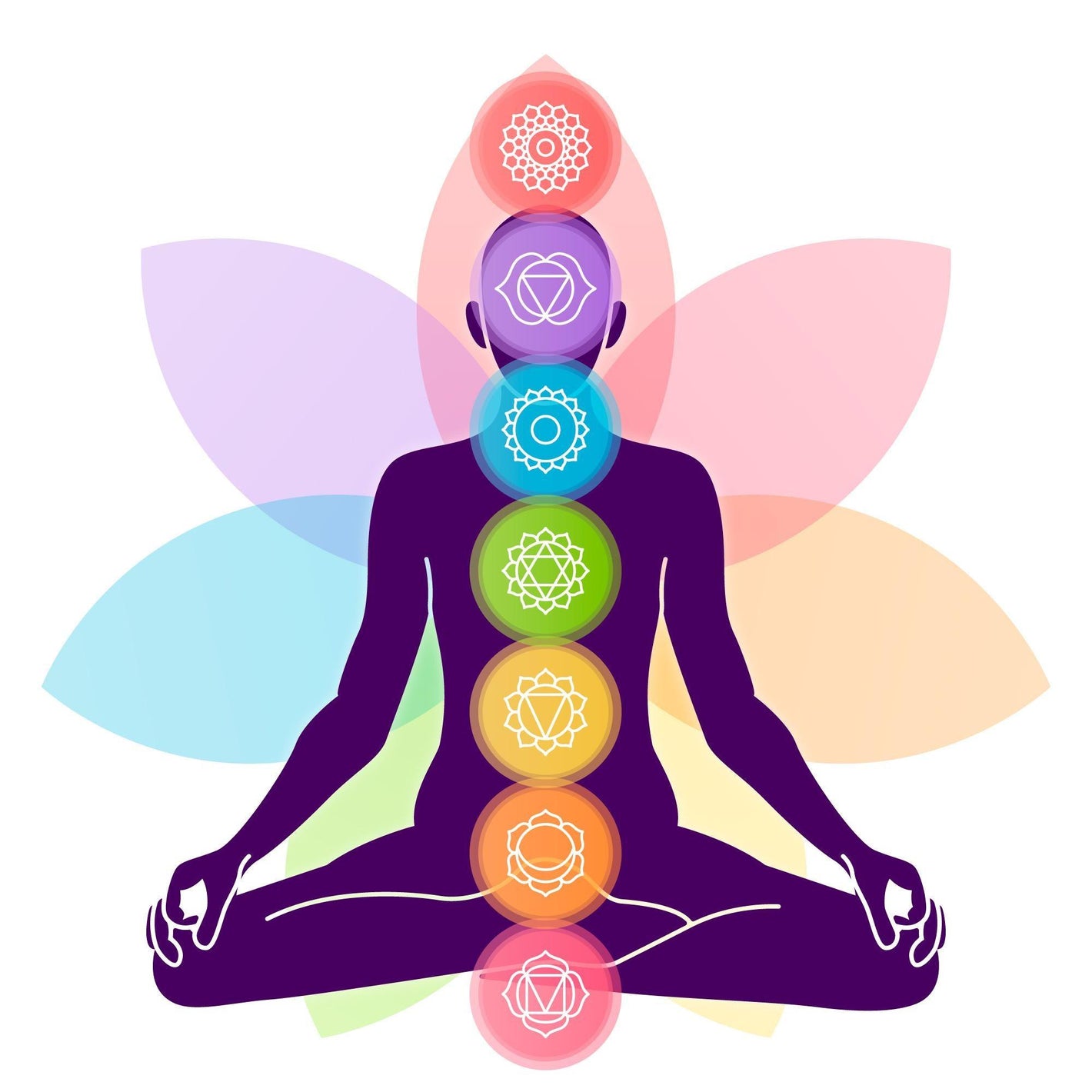 Solar Plexus: Functions, Chakra & Health Impact - welzo