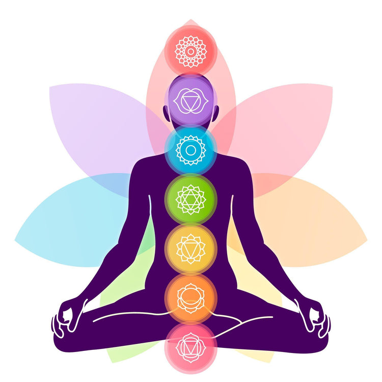 Solar Plexus: Functions, Chakra & Health Impact - welzo