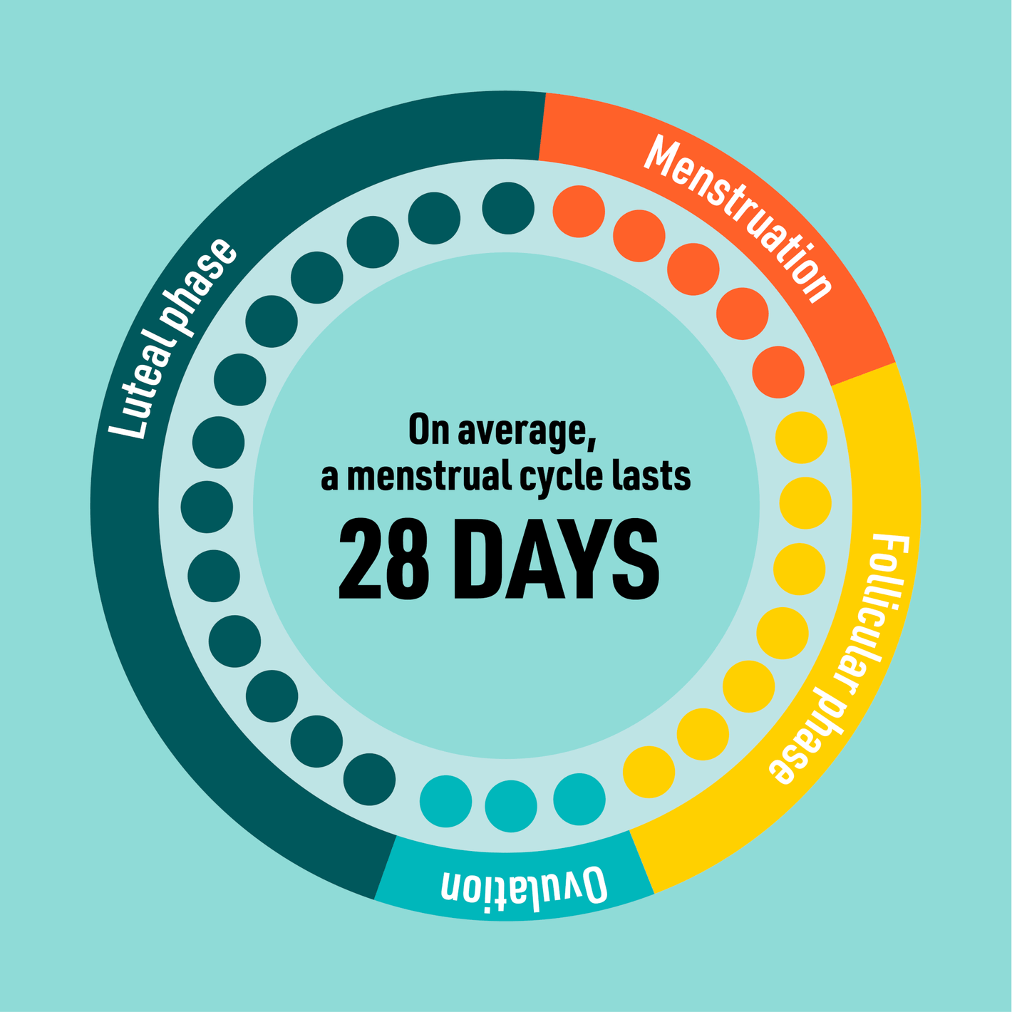 Understanding the Menstrual Cycle - welzo