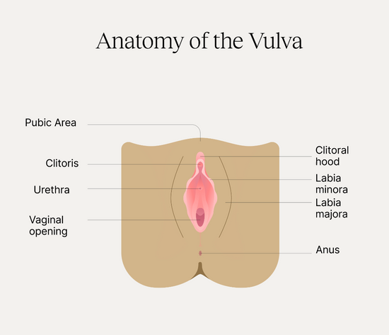 Vulvitis Itchy Vulva: Causes, Symptoms & Treatment - welzo