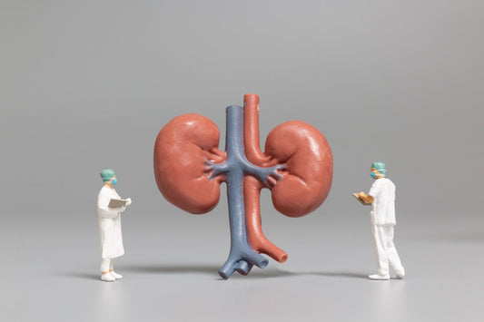 What are the Masturbation Effects on Kidneys?