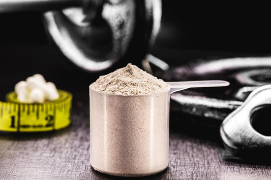 What is Micronized Creatine? - welzo