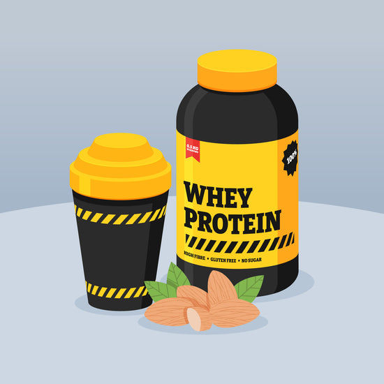 The Ultimate Guide to the Top 10 Protein Powders for Muscle Gain and Recovery in 2024