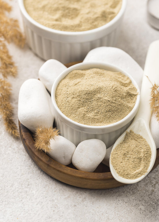 The 15 Best Protein Powders for Women