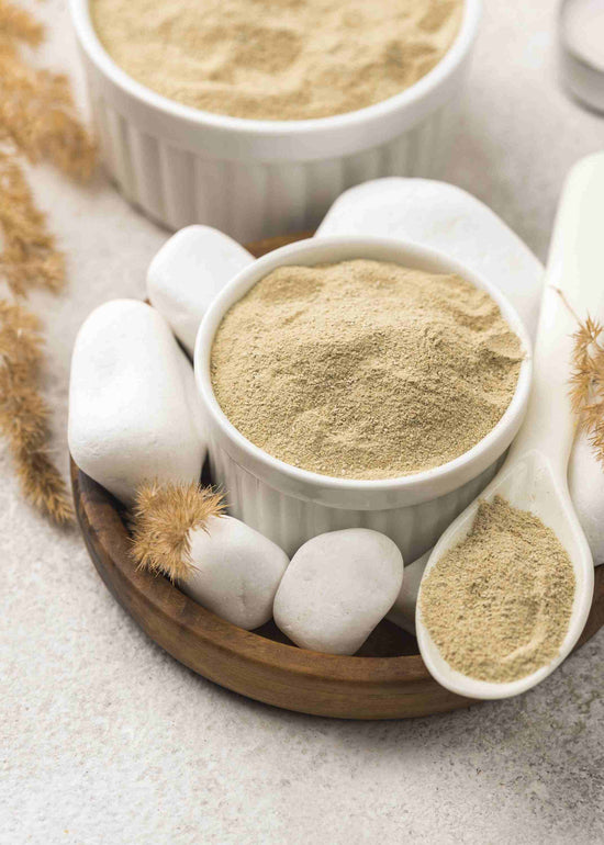 10 Best Mushroom Powders for Herbal Healing- Welzo