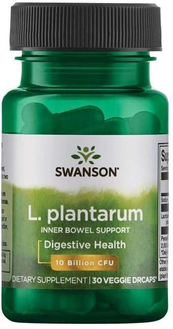Lactobacillus plantarum