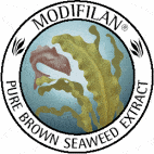 Modifilan