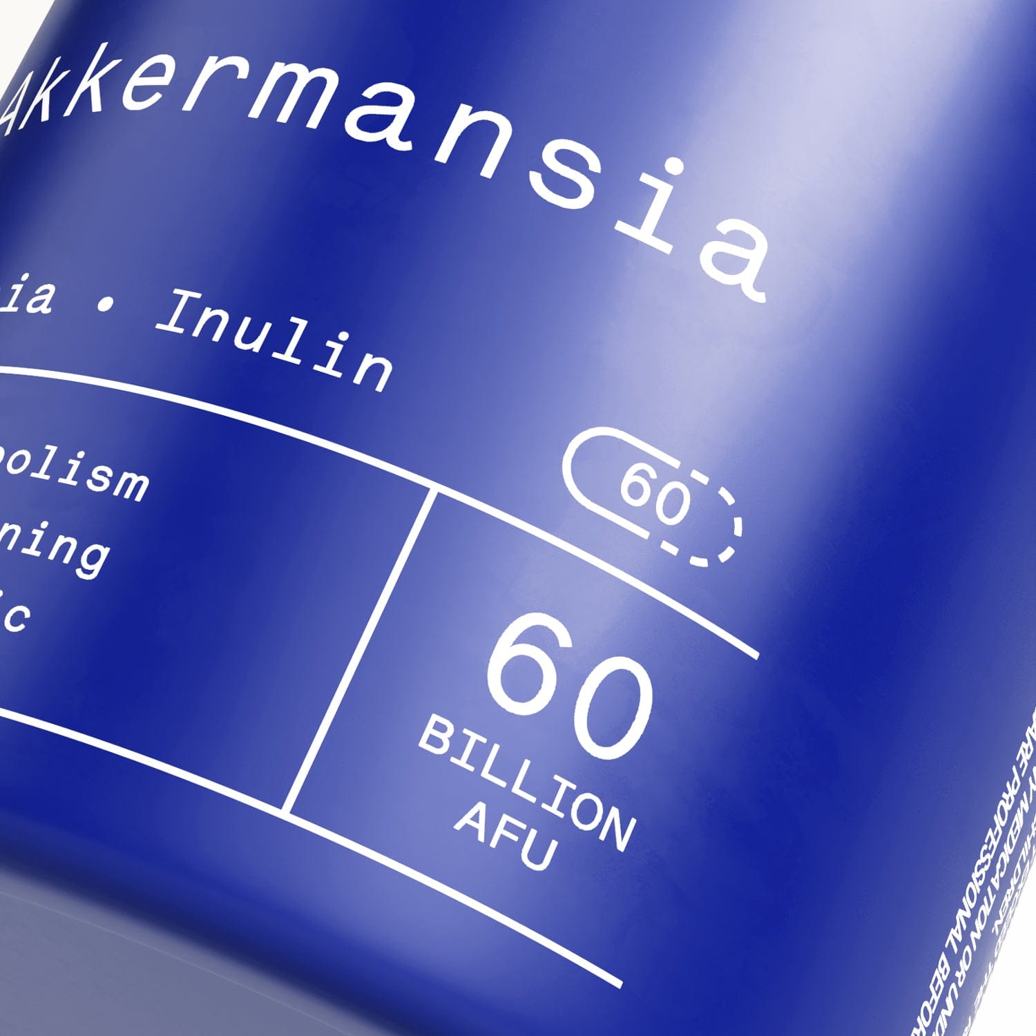 Akkermansia