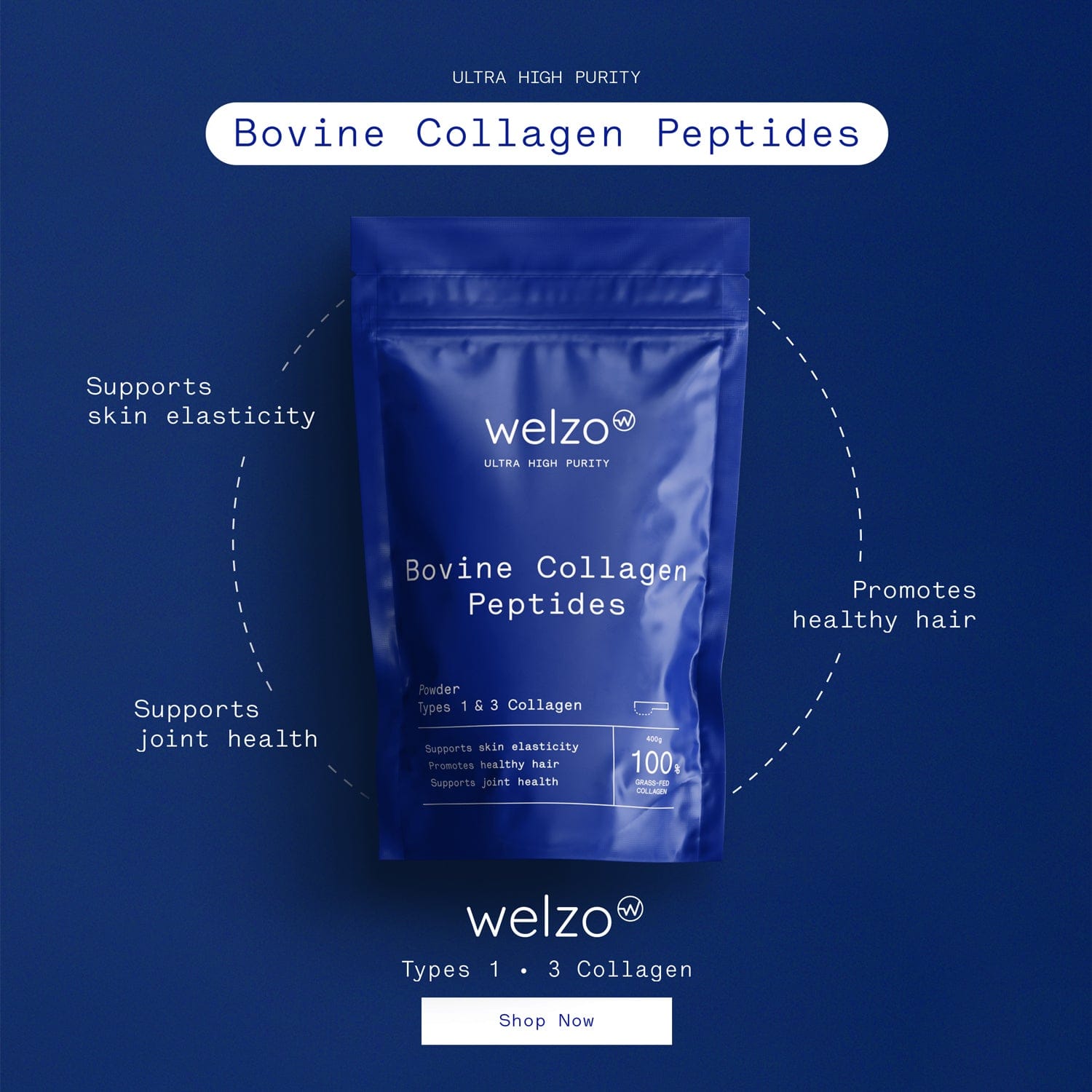 Polvere di peptidi di collagene bovino