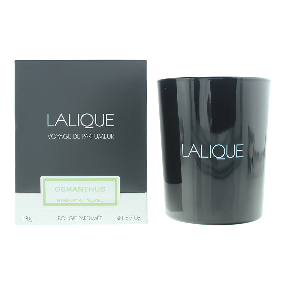 Lalique Osmanthus Himalaya Nepal Candle 190g - Welzo