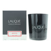 Lalique Santal Goa Inde Candle 190g - Welzo