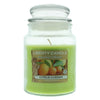 Liberty Candle Homestead Collection Citrus Garden Candle 18oz - Welzo
