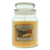 Liberty Candle Homestead Collection Tropical Fruit Candle 18oz - Welzo