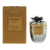 Bali Mantra Hibiscus Glass Silver Redcurrant Candle 500g - Welzo