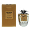 Bali Mantra Hibiscus Glass Silver Peach Grapefruit Candle 500g - Welzo
