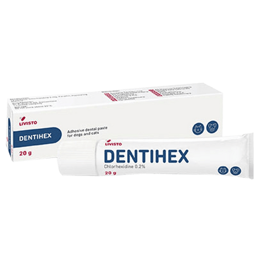 Dentihex Oral Paste 20g - welzo