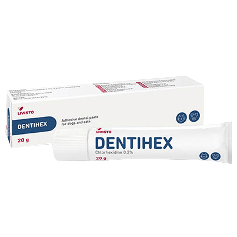 Dentihex Oral Paste 20g - welzo