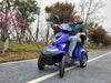 Czterokołowa hulajnoga elektryczna Ranger 3 – zdjęcie 38