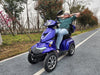 Czterokołowa hulajnoga elektryczna Ranger 3 – zdjęcie 39