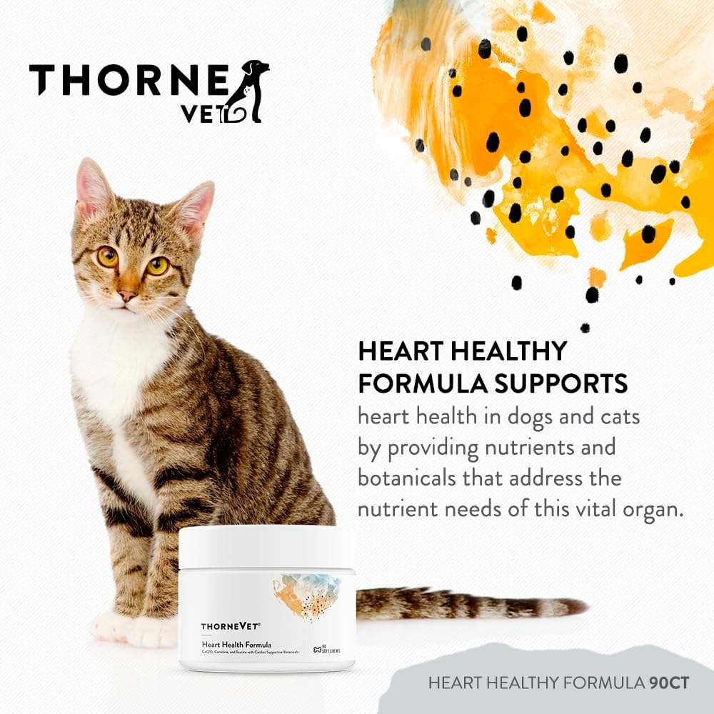 „Bio -Cardio“ („Animal Health“) 90 Chews - „Thorne Vet“