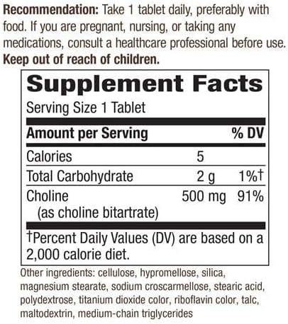 Choline 500 mg, 100 Vegan Tablets - Natures Way