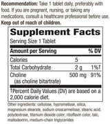 Choline 500 mg, 100 Vegan Tablets - Natures Way