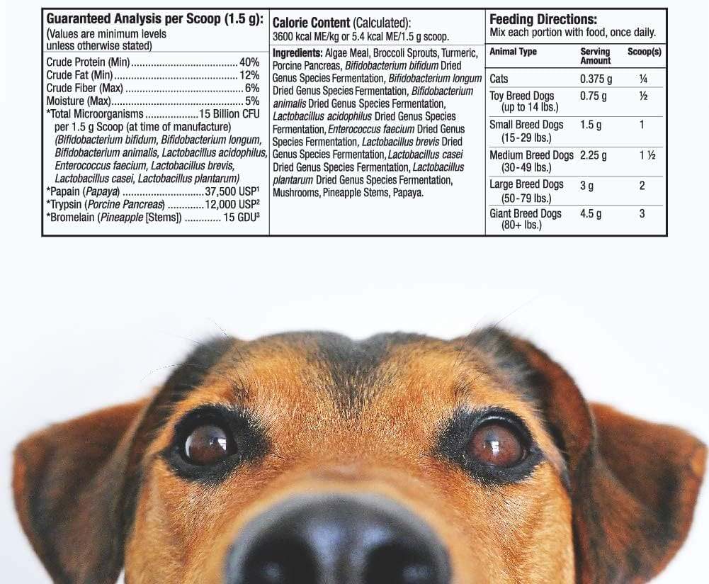 Probiotique digestif de la nourriture entière pour les chats et les chiens, 102 g - Dr Mercola