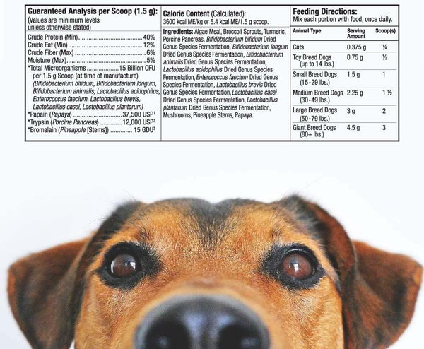 Probiotico digestivo di tutto il cibo per gatti e cani, 102 g - Dr. Mercola