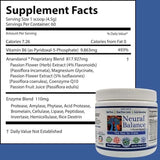 Neural Balance, Anandanol with Proprietary Digestive Enzyme Blend, 270g