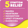 Pepto Bismol Liquid 480ml
