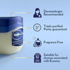 Vaseline Petroleum Jelly 100ml