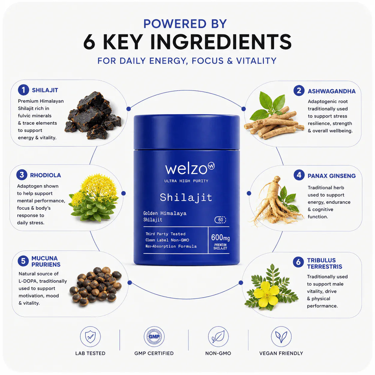 Pacchetto Welzo Gut Health Reset: test sulle intolleranze alimentari + Akkermansia