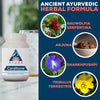 Carditone (60 Caplets) - Ayush Herbs