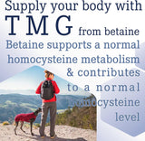 Life Extension TMG, 500mg - 60 liquid vcaps