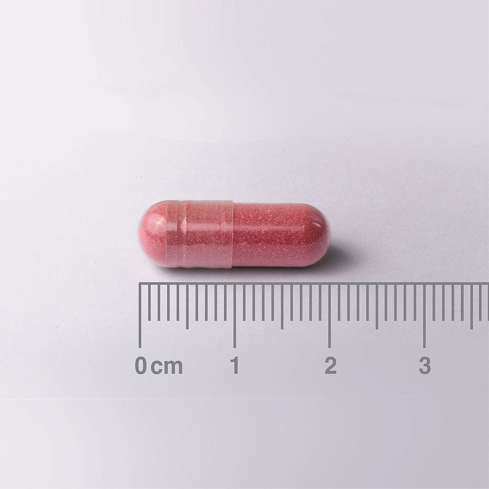 Lamberts Cranberry Capsules 18,750mg – 60 Capsules – image 5