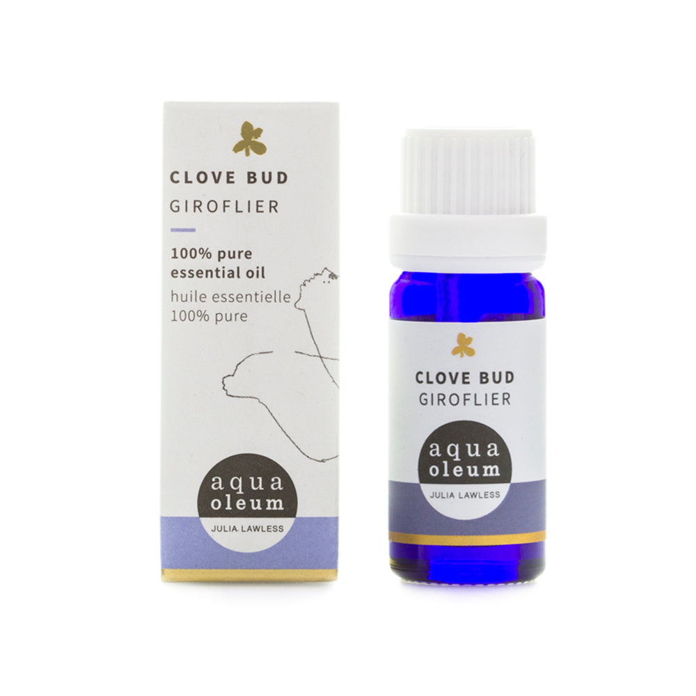 Clove Bud Essential Oil 10ml, Aqua Oleum