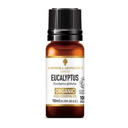 Eucalyptus Organic Essential Oil 10ml, Amphora Aromatics