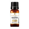 Eucalyptus Organic Essential Oil 10ml, Amphora Aromatics